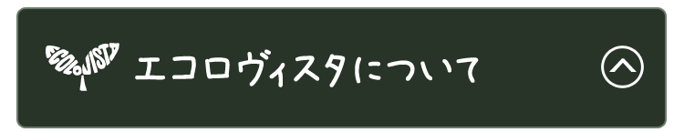 エコロヴィスタについて