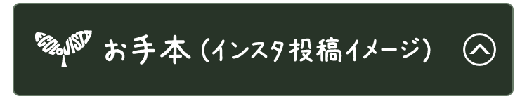 お手本（インスタ投稿イメージ）