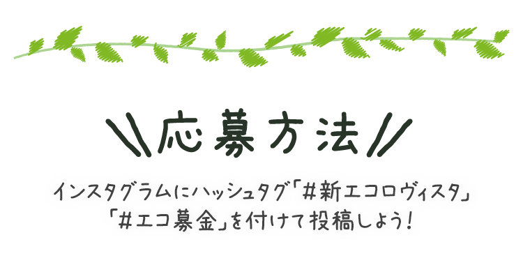 応募方法 インスタグラムにハッシュタグ「#新エコロヴィスタ」「#エコ募金」を付けて投稿しよう！