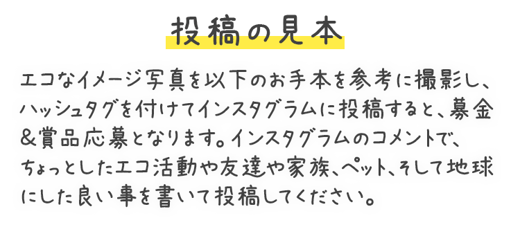 投稿の見本 エコなイメージ写真を以下のお手本を参考に撮影し、ハッシュタグを付けてインスタグラムに投稿すると、募金＆賞品応募となります。インスタグラムのコメントで、ちょっとしたエコ活動や友達や家族、ペット、そして地球にした良い事を書いて投稿してください。