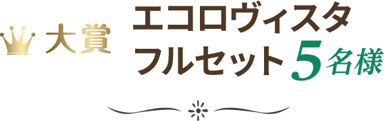 大賞 エコロヴィスタ フルセット 5名様