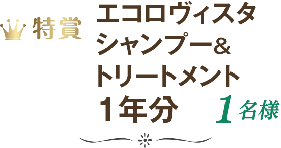 特賞 エコロヴィスタ シャンプー&トリートメント 1年分 1名様