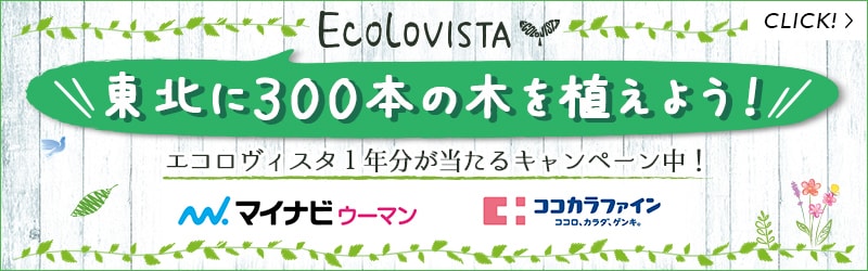 東北に300本の木を植えよう！