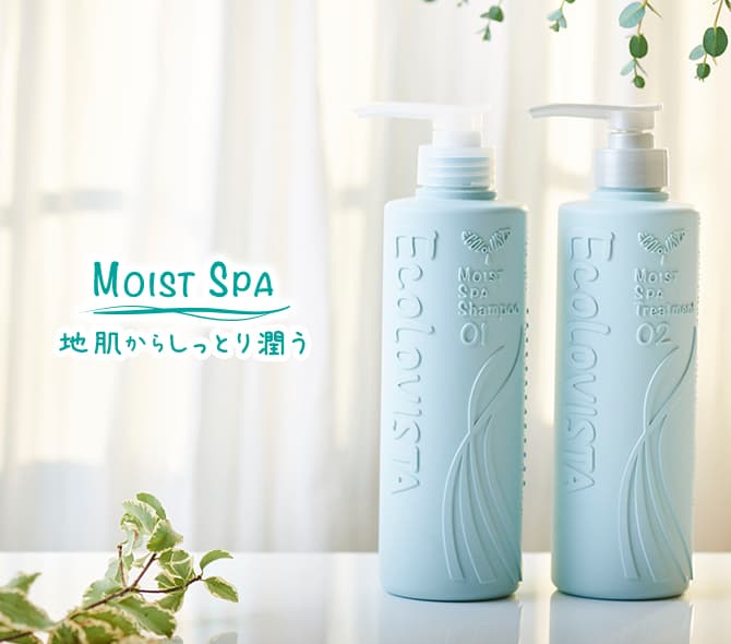 エコロヴィスタ トリートメント500g→２個＆ヘアパック　しっとりセット