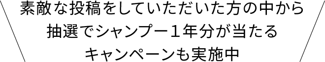 素敵な投稿をしていただいた方の中から抽選でシャンプー1年分が当たるキャンペーンも実施中