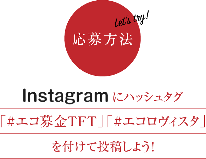 Instagramにハッシュタグ「#エコ募金TFT」「#エコロヴィスタ」を付けて投稿しよう！